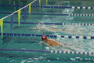 乐鱼体育App下载-全国公开水域游泳赛长江赛段人气爆棚