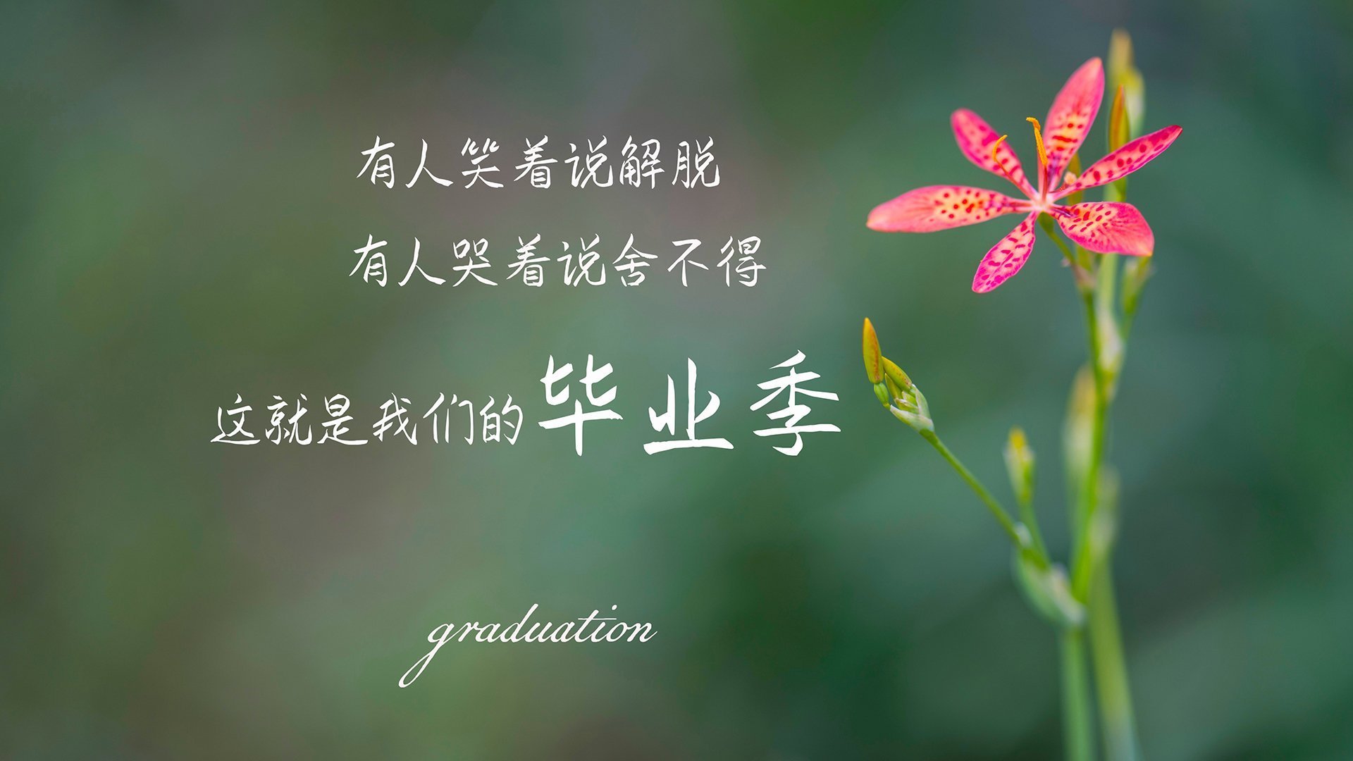 乐鱼app-德甲赛季门票定价策略与球迷出勤率研究，德甲球票价格