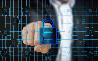 乐鱼app-校园体育安全管理策略研究，校园体育安全管理策略研究报告