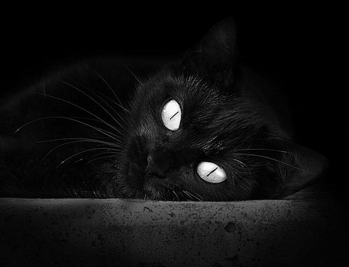 篮球专项体能训练负荷科学调控技术,篮球专项负荷设计与安排