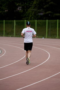 乐鱼体育-篮球专项技能训练负荷调节与效果评估研究，基础阶段篮球训练负荷安排