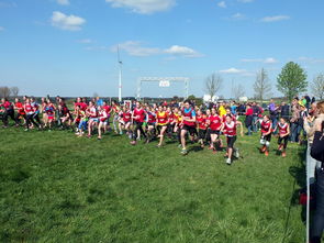 Leyu Sports (乐鱼体育)-青少年体育锻炼促进策略与实践，青少年体育锻炼方案