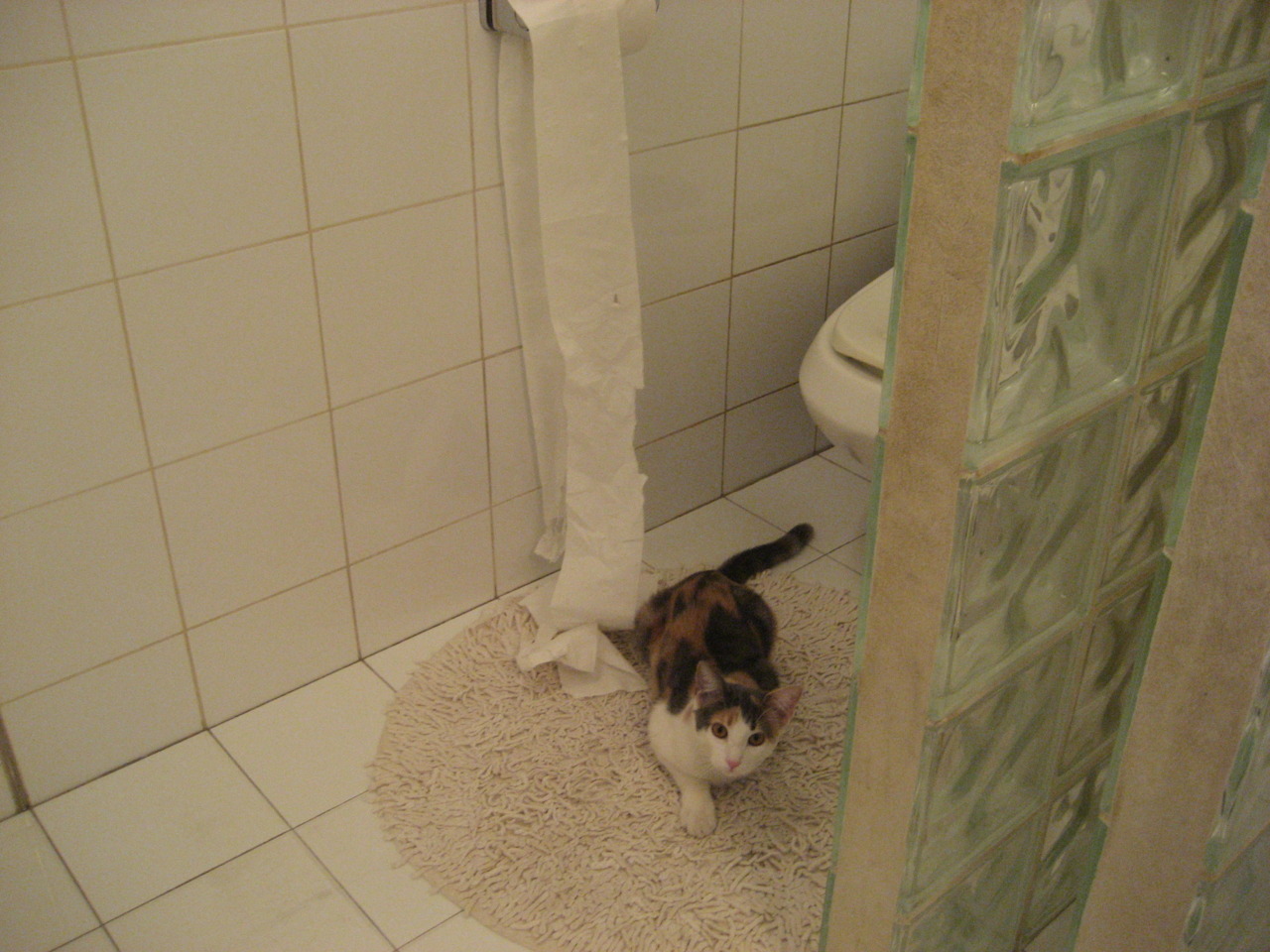 乐鱼app-CBA多支球队加强教练团队建设，cba篮球教练有哪些