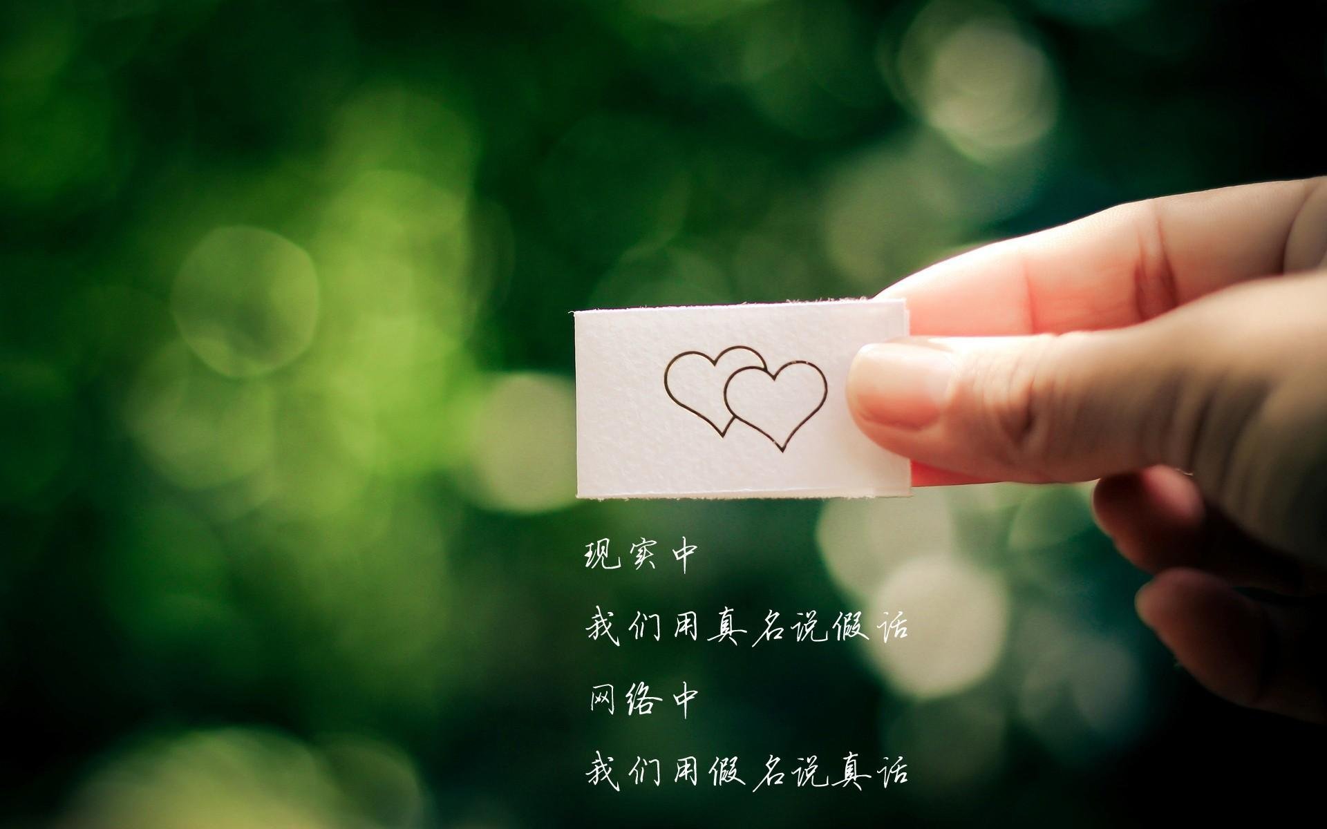 leyu.com-“腰旗式美式橄榄球：东部新区赛场引领新潮流运动风尚”