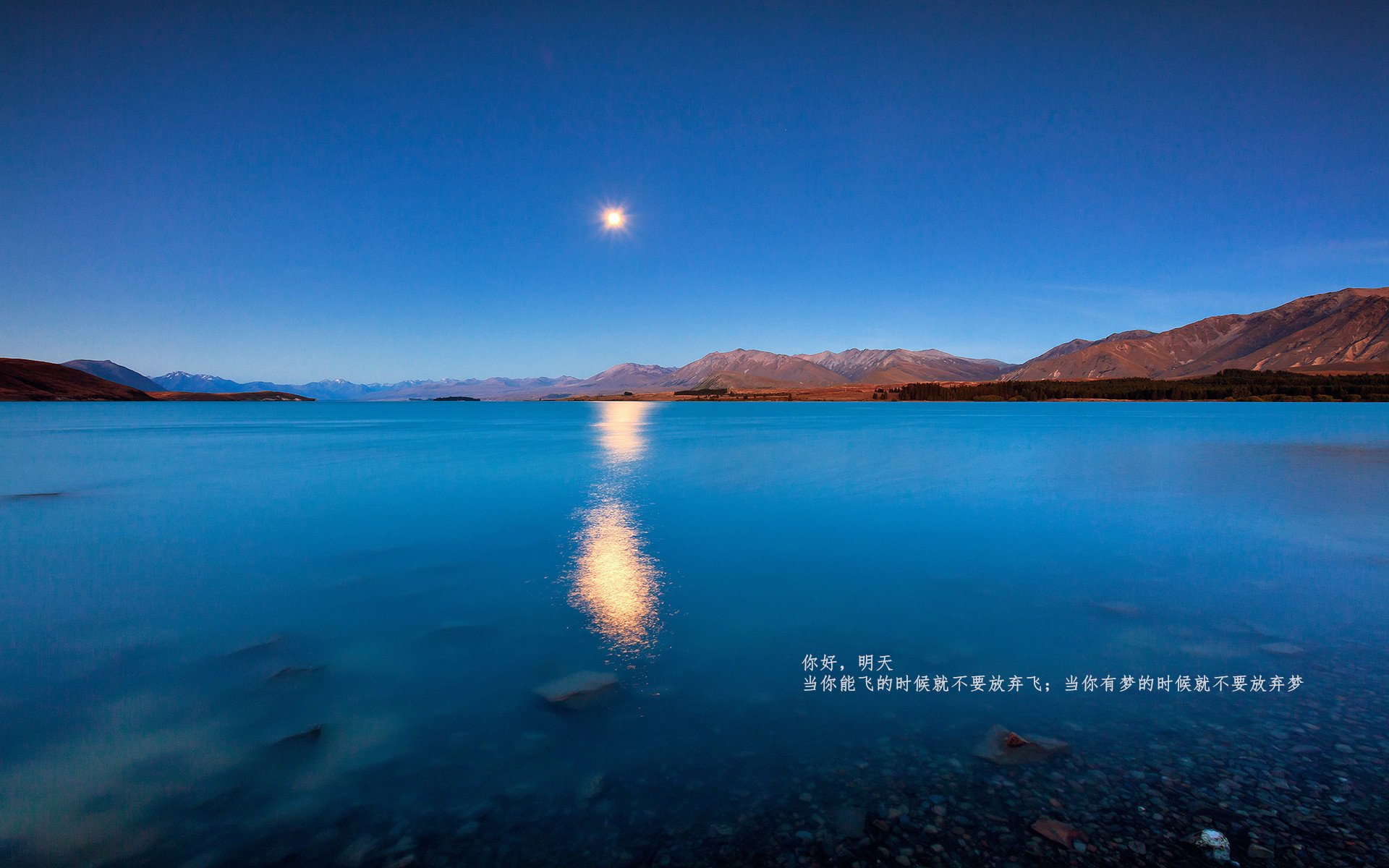 印度队如何在2024年世界杯赛场打破强队束缚,印度进世界杯