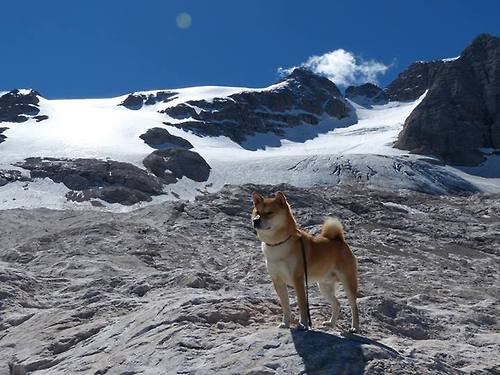 巴黎调整锋线组合增添多样进攻威胁,巴黎阵型图