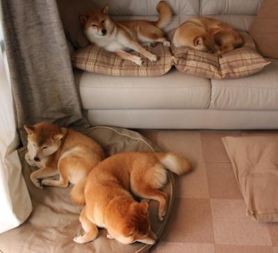 曼联加强边中结合构建立体攻击体系