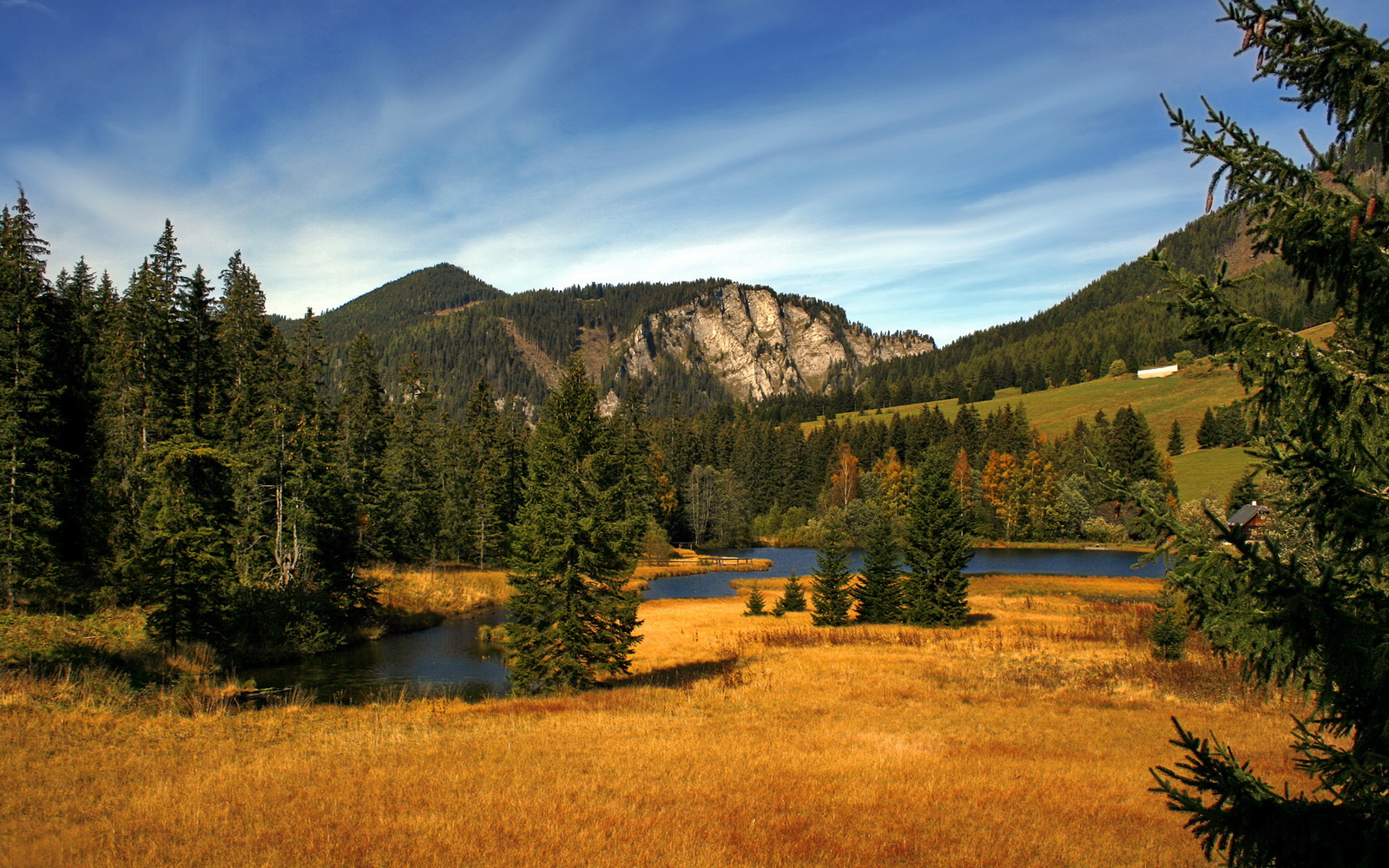 乐鱼app-2026世界杯：全新场馆设计融合绿色环保与高科技元素，世界杯预选赛 场馆