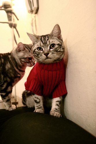 leyu乐鱼在线登录入口-世界杯超燃剪辑：最令人难忘的瞬间合集，世界杯超燃视频