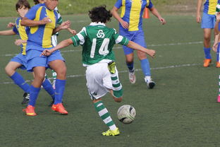 乐鱼体育App下载-中国足球国家队备战友谊赛调整战术策略，国足 友谊赛