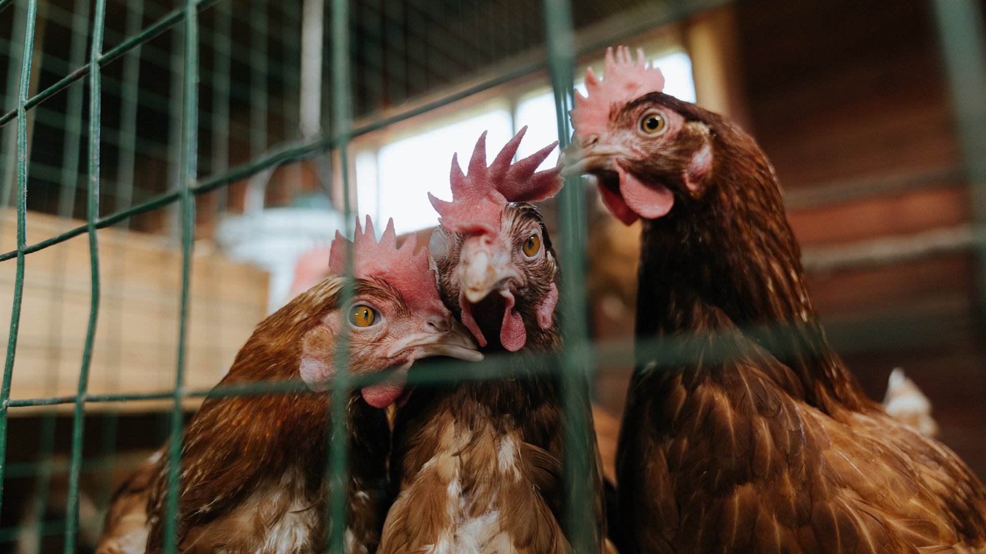 LeyuSports-女篮加强队内沟通机制提高临场协作效率