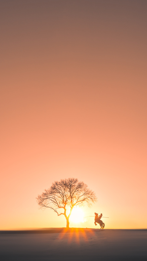 巴西青训体系进一步完善，培养世界级足球精英