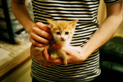 LEYU乐鱼体育官方网站-希腊女篮在欧洲锦标赛中再攀高峰，冠军梦不止步，希腊女子篮球超级联赛ds