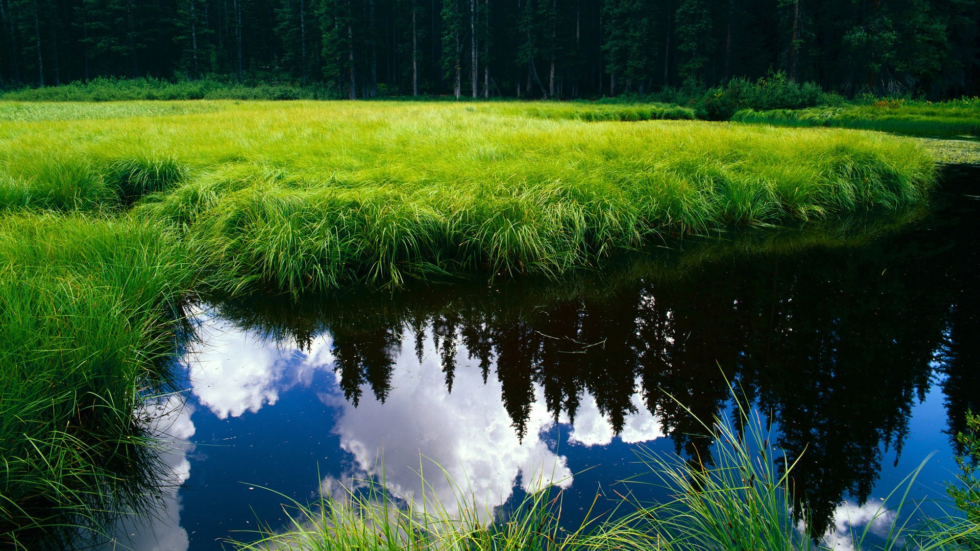 乐鱼电竞在线平台-曼联在英超大逆转，追赶领头羊位置